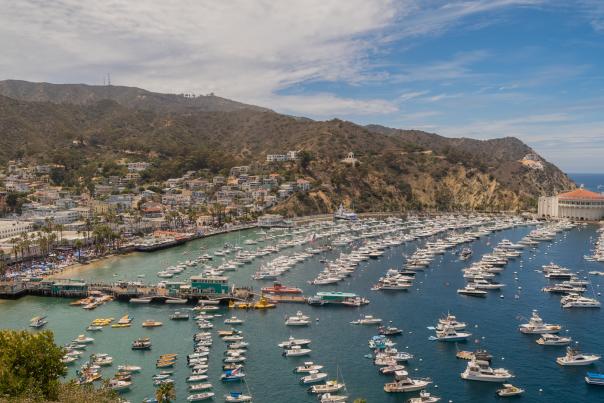 Avalon aerial