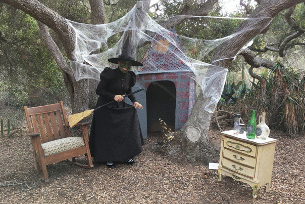Halloween in Garden Catalina Island
