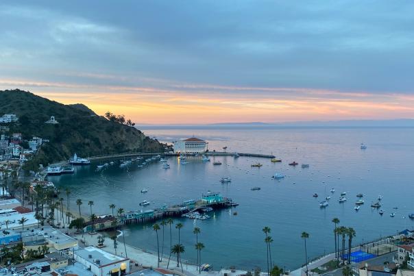 No Man is An Island - Love Catalina