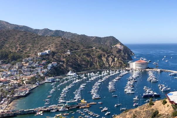 Avalon Aerial View