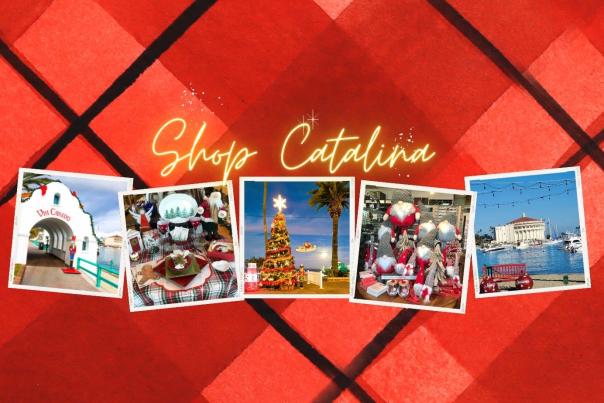 Shop Catalina Updated