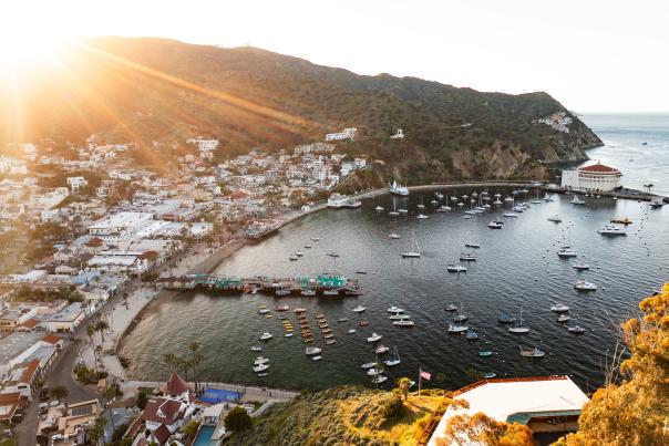 Avalon Harbor