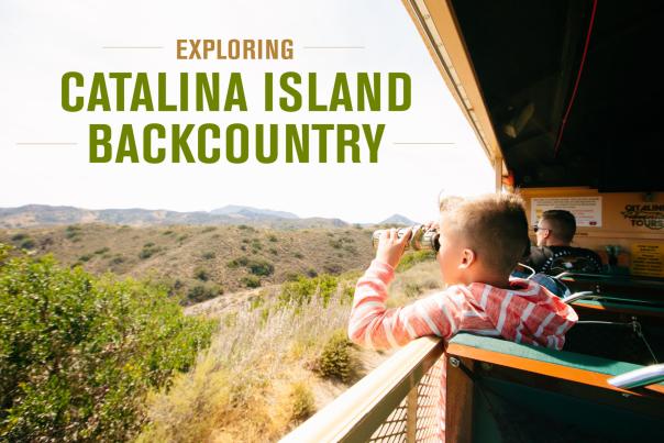 catalina-island-backcountry-tours