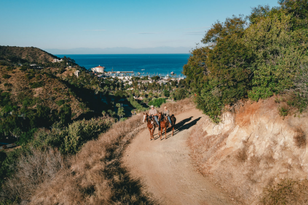 Catalina Horseback