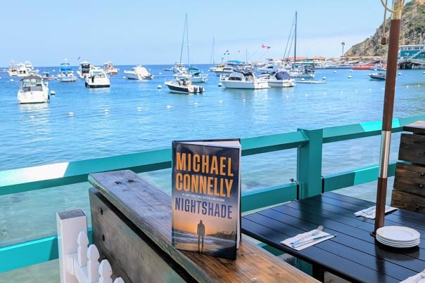 Michael Connelly Book