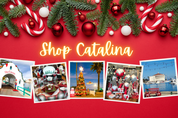 Shop Catalina
