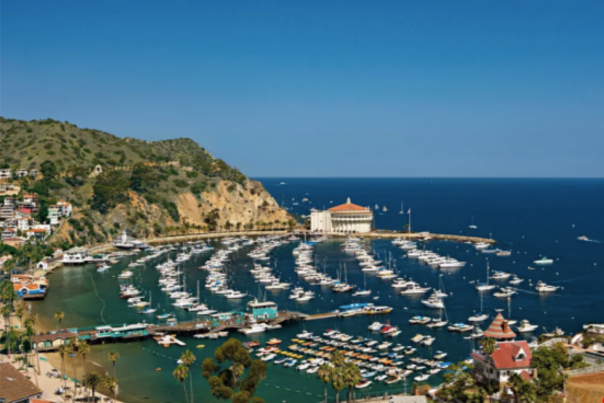 USA Today - Catalina Island