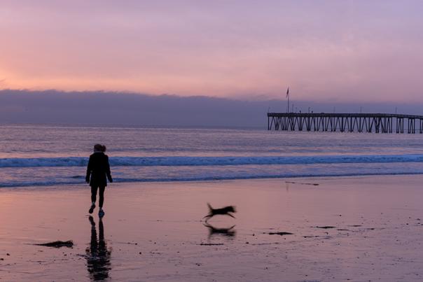 Visit California image