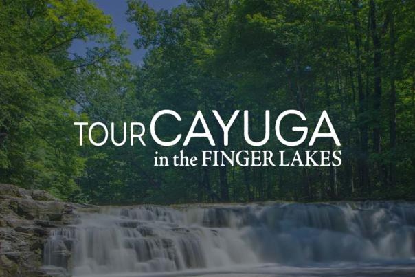 Cayuga default image