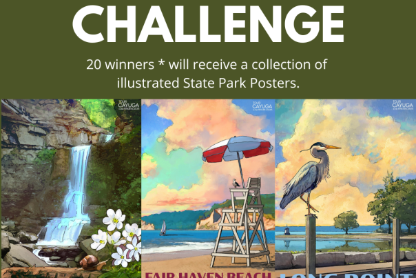 Parks Challenge 2022