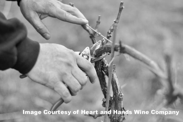 Pruning at Heart and Hands Wine Company
