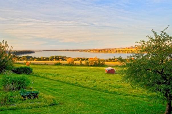 Fall in Love with Cayuga County