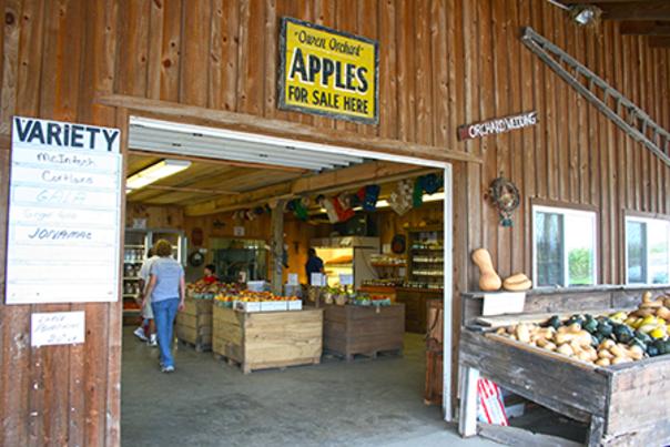 Owens Orchards Apple Picking