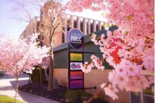 Cafe 108 Spring