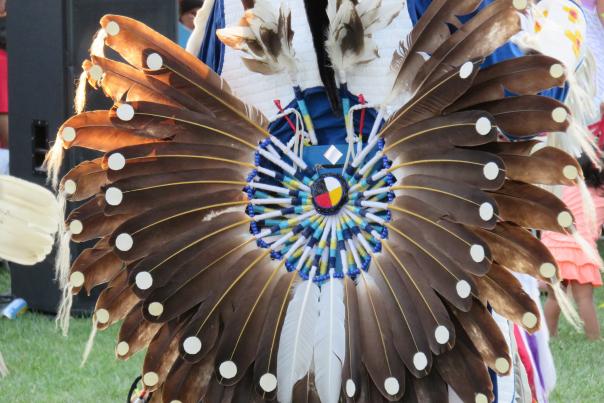 American Indian feather fress