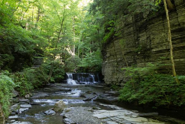 Fillmore Glen State Park