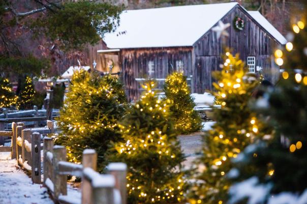 Christmas by Candlelight at Old Sturbrigde Village
