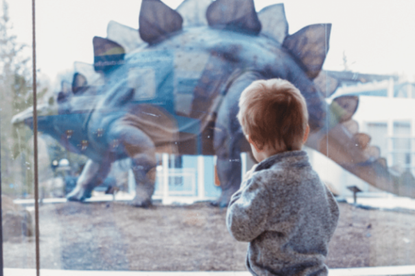 A Boy Looks out at a Dinosaur at Worcester's Ecotarium