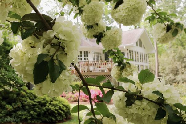 Chapel Hill Garden Tour - Baddour Garden