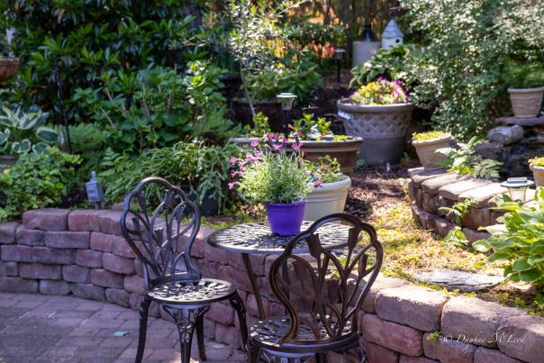 2024 Chapel Hill Garden Tour Yost Backyard Garden by Photo by Daphne McLeod