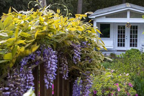 Baddour Garden Chapel Hill Spring Garden Tour