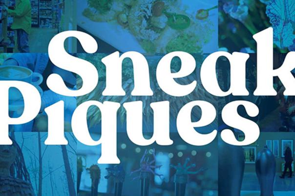 Sneak Piques