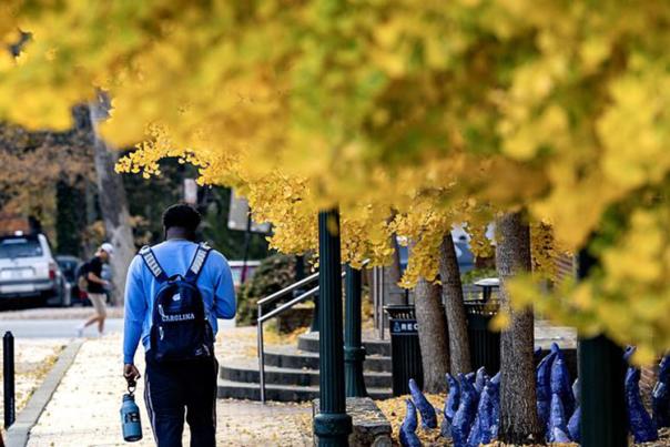 Fall Scene on UNC-Chapel Hill Campus