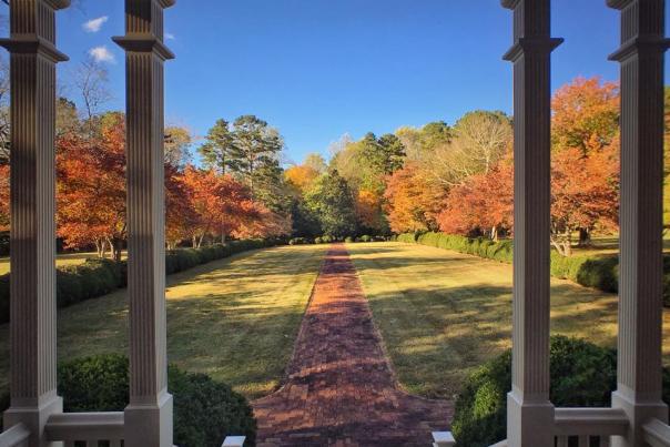 Autumn View from Front Porch Ayr Mount
