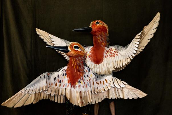 Bird Puppets from the Paperhand Puppet Intervention Summer Show