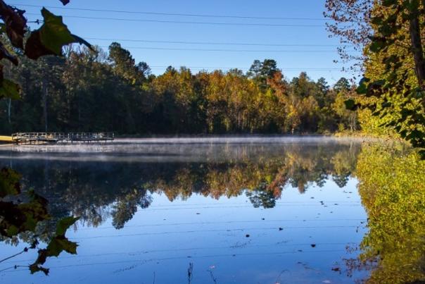 Brumley Nature Preserve