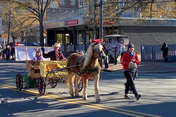 Horse pulling small buggy with people in the Chapel Hill Carrboro Parade, 2024