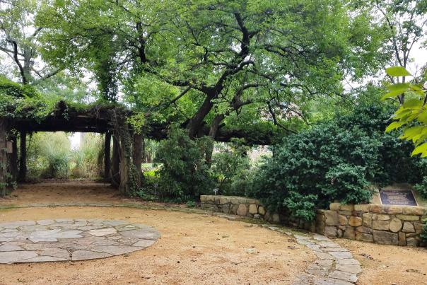 Coker Arboretum Vine Way