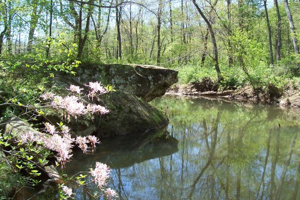 Hollow Rock Nature Park