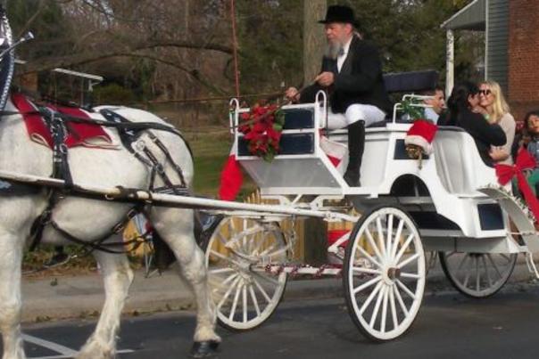 Horse Drawn Carriage Ride