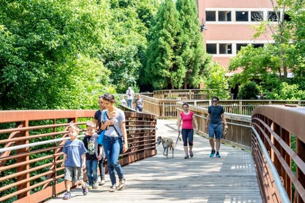 Walking the Riverwalk in Hillsborough