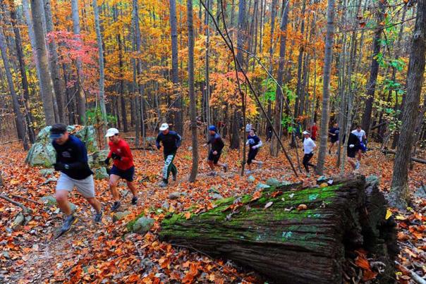 Runners on trail
