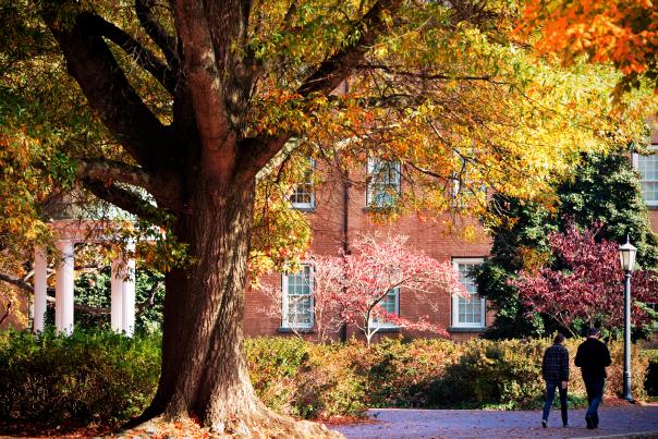 Fall on UNC Campus