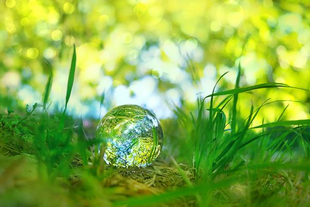 Earth Day - Crystal Earth in Woods