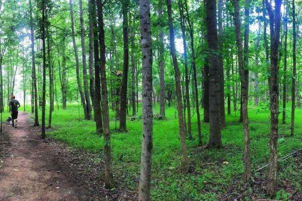 Hiking at Brumley Preserve