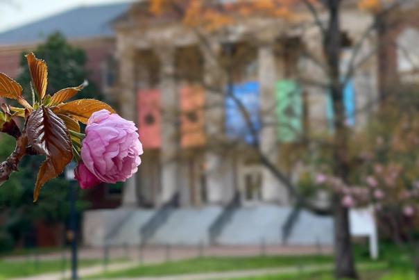 UNC Campus Background Wallpaper photo