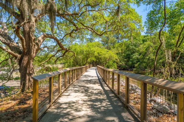 Old Towne Creek County Park Boardwalk