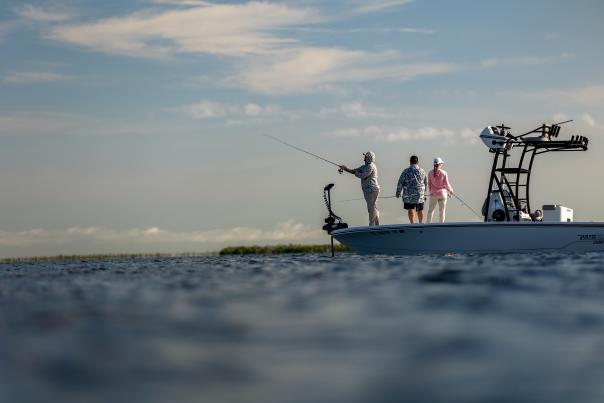 Inshore fishing in Punta Gorda/Englewood Beach