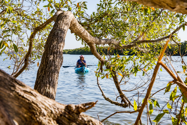 Kayaking in Englewood, Florida