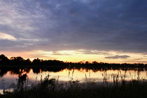 Sunrise at Babcock/Webb Wildlife Management Area, Punta Gorda, Fla.