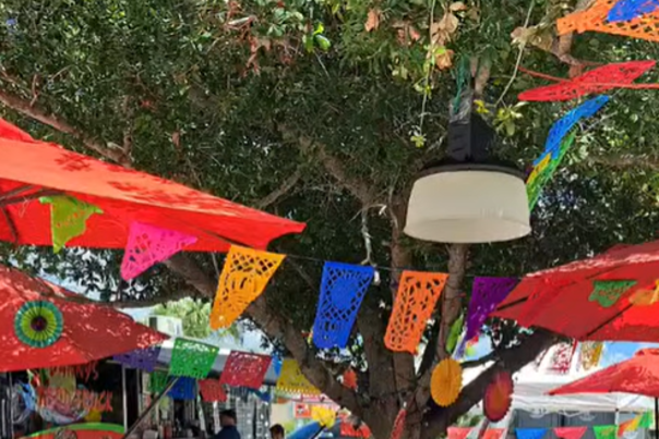 Cinco de Mayo with El Guero Tacos and Danny's Food Truck.
