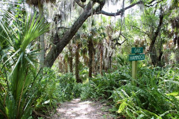 Audubon-Pennington Nature Park in Port Charlotte, Florida