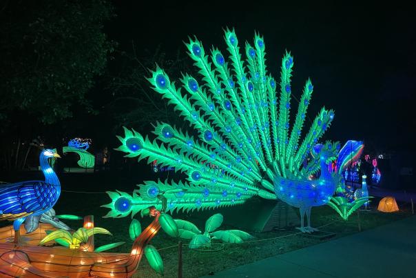 Asian Lantern Festival Chattanooga Zoo