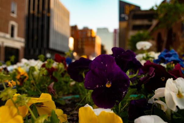 Spring in West Village