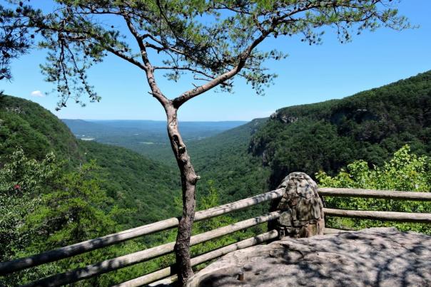 You can enjoy epic views all along the West Rim Loop Trail at Cloudland Canyon State Park.