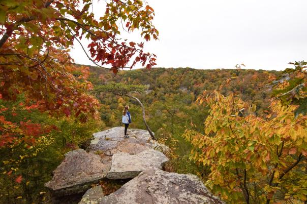Person stands on rock at cliff edge looking at fall colors